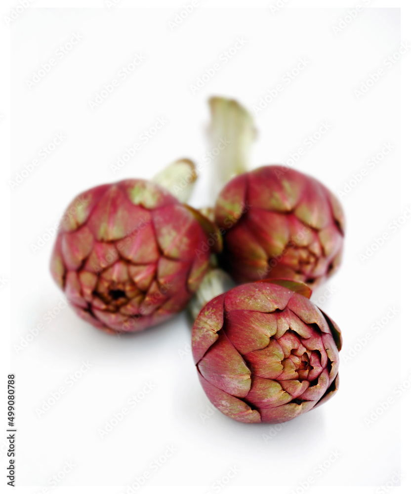 Red artichoke isolated on white background.