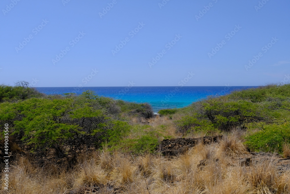 Beautiful Blue Ocean