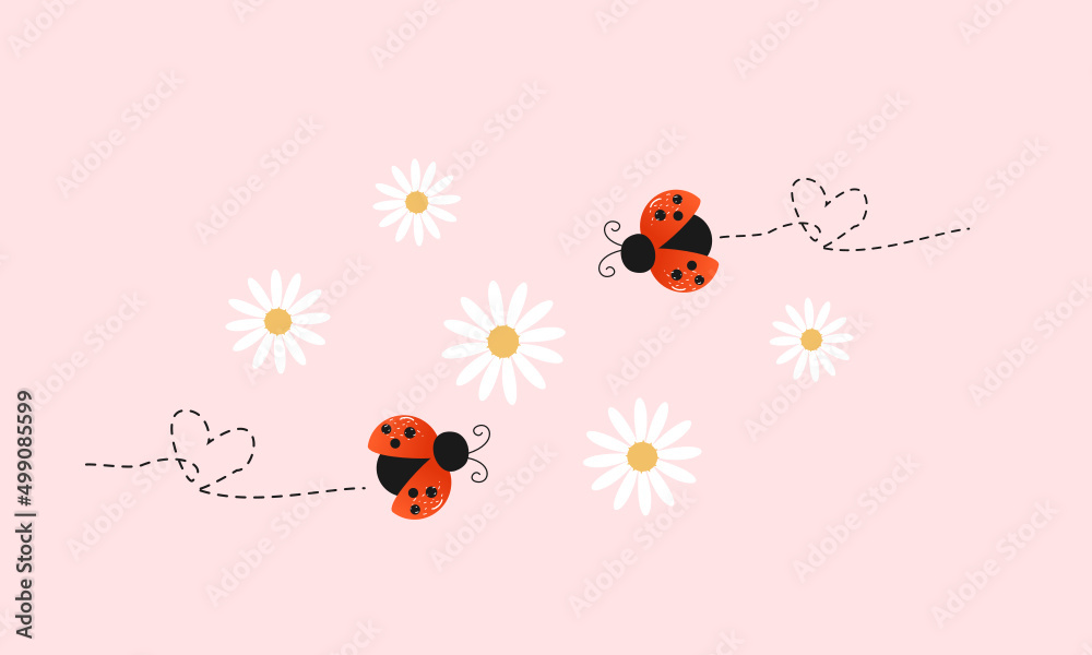 Ladybug and daisy flower on pink background vector.