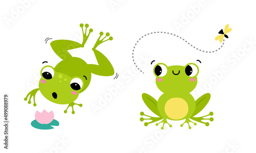 Cute little green baby frog jumping and catching fly with tongue set cartoon vector illustration