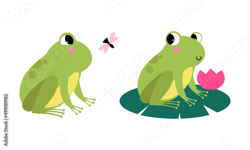 Cute funny green baby frogs set cartoon vector illustration