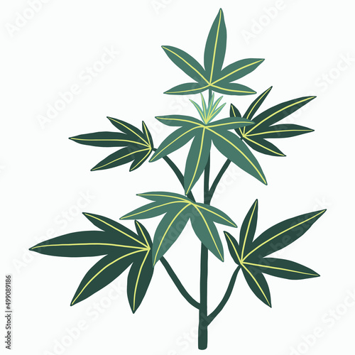 Simplicity cannabis plant freehand drawing flat design.