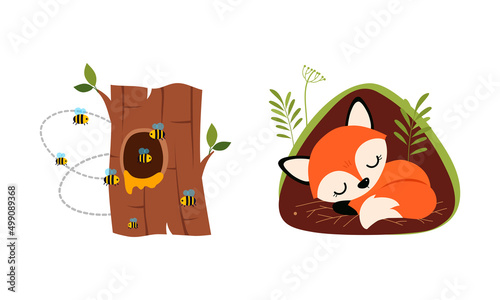 Bees flying around tree hollow and little fox sleeping in burrow cartoon vector illustration