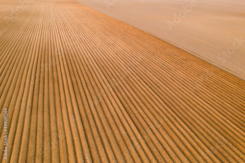 Aerial view of the agricultural field with furrows on soil at sunset