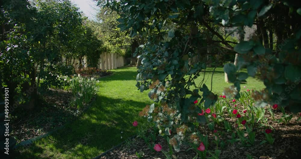 Small and beautiful private orchard in backyard on sunny day, motion view Small and beautiful private orchard in backyard on sunny day, motion view