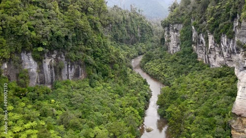 Outstanding aerial pull back of river canyon, limestone cliffs, native vegation of New Zealand nature. Pororari River photo