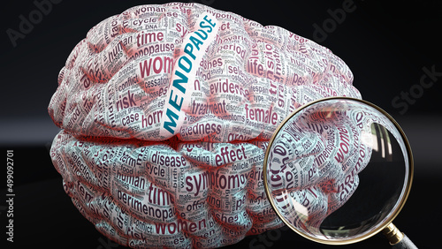 Menopause in human brain, a concept showing hundreds of crucial words related to Menopause projected onto a cortex to fully demonstrate broad extent of this condition, 3d illustration photo