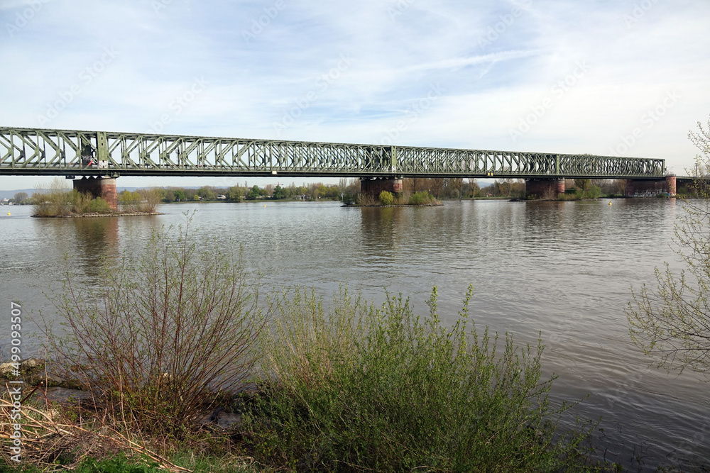 Naklejka premium Südbrücke bei Mainz