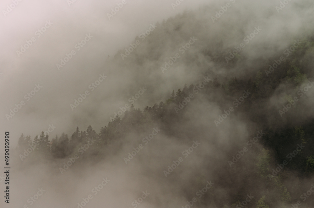 Nebelschwaden über den Wäldern in Südtirol