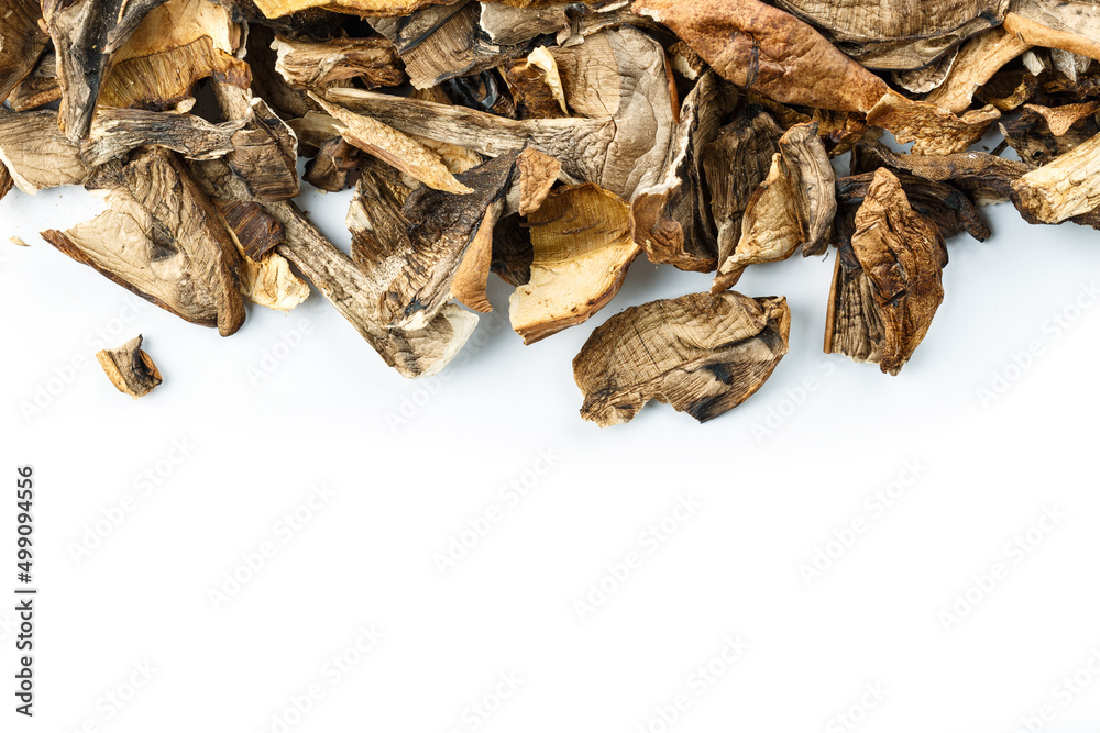 Dried mushrooms on white background Dried mushrooms on white background