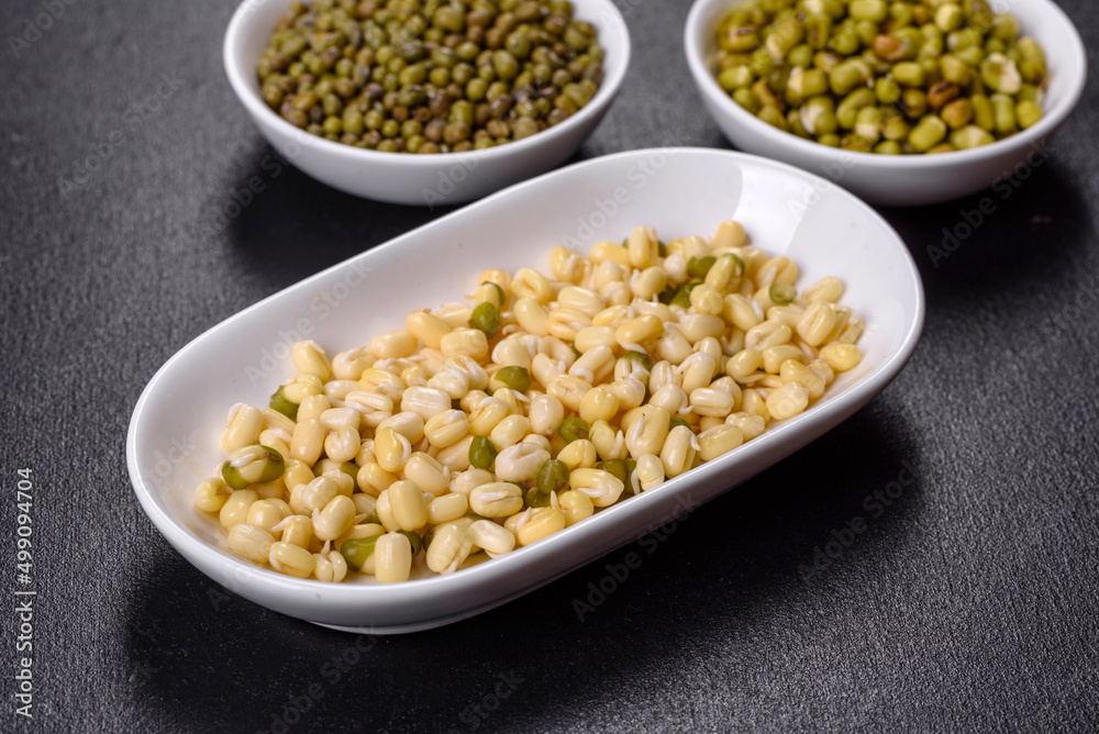 Organics fresh Baby Green Bean Sprouts in white ceramic bowl on a dark concrete background Organics fresh Baby Green Bean Sprouts in white ceramic bowl on a dark concrete background