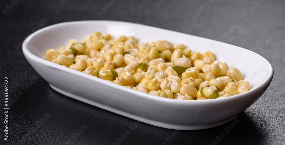 Organics fresh Baby Green Bean Sprouts in white ceramic bowl on a dark concrete background