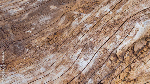 Close-up of wood texture for graphic design or wallpaper. The texture of brown wood with veins and cracks. pattern on wood texture. Old wooden textured background for demonstration. An old rotten log