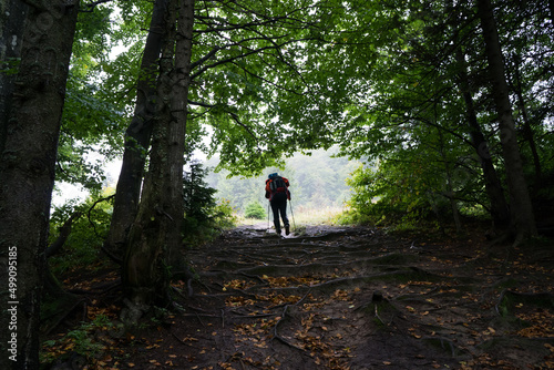 A man with a backpack comes out of the dark forest into the light along a dirt road covered with tree roots.