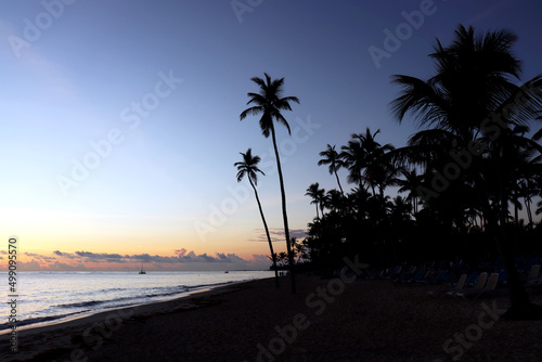 Silhouettes of coconut palm trees on sea beach, sunset sky with clouds. Tropical coast, paradise nature for background