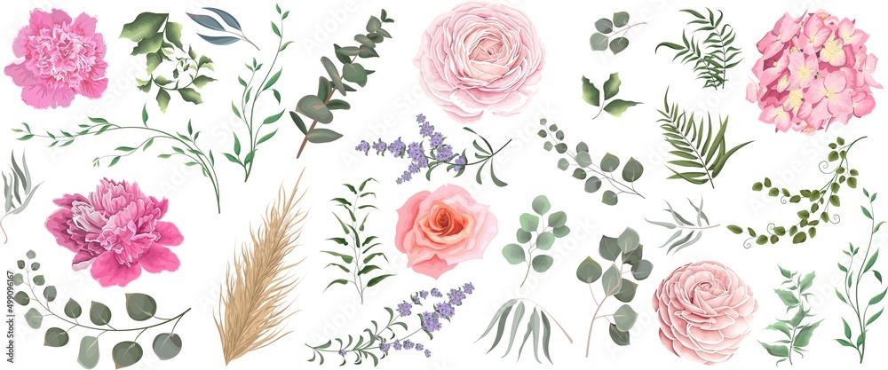 Vector grass and flower set. Eucalyptus, different plants and leaves, lavender, pink roses, hydrangea, peonies, ranunculus, dry wood.  - obrazy, fototapety, plakaty 