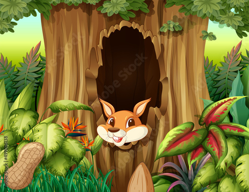 Nature scene with many trees and squirrel