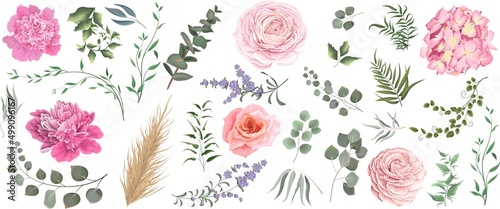 Vector grass and flower set. Eucalyptus, different plants and leaves, lavender, pink roses, hydrangea, peonies, ranunculus, dry wood. 