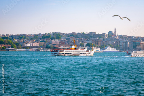 Istanbul view. A ferry on the bosphorus and seagull on the sky