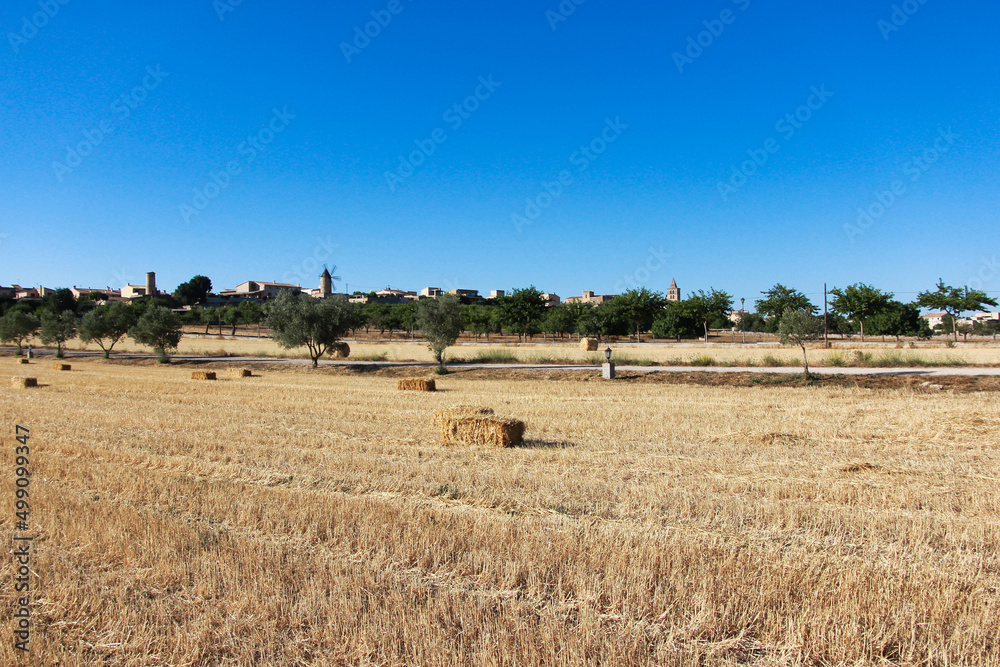 Feld mit Strohballen und blauem Himmel auf Mallorca