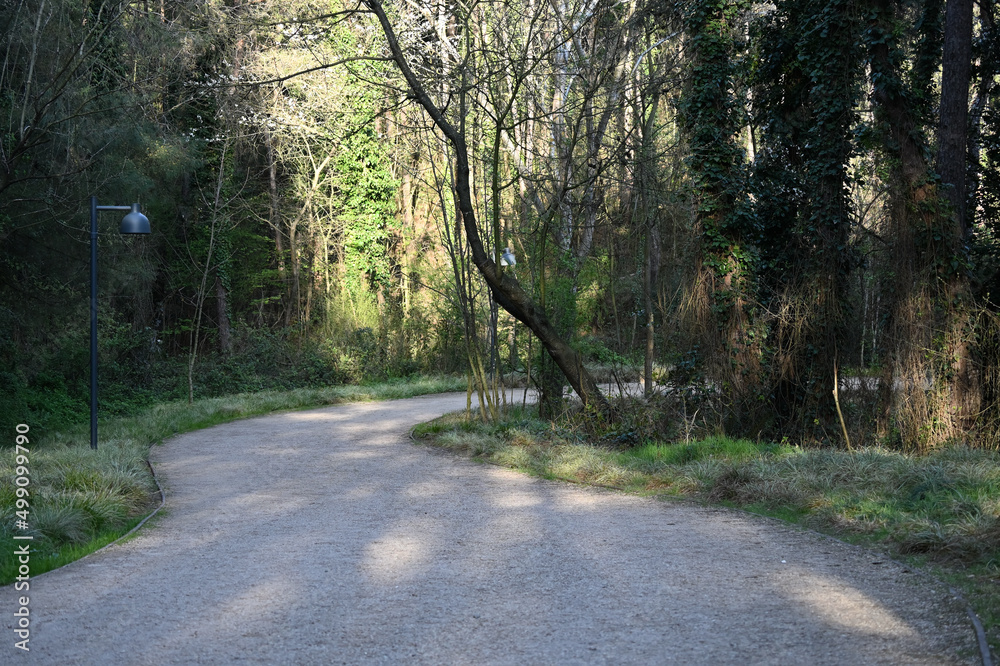 Fototapeta premium Ataturk urban forest national park sariyer-Istanbul-Turkey