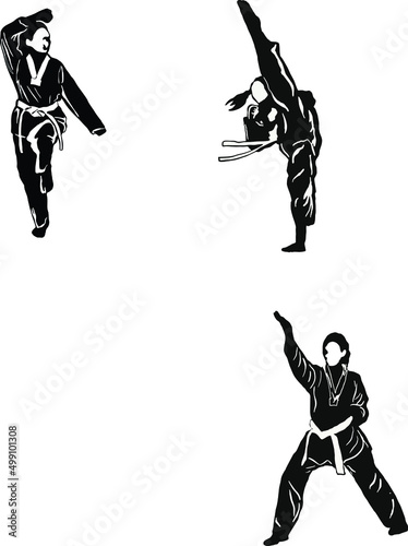 karate taekwondo illustration vector logo