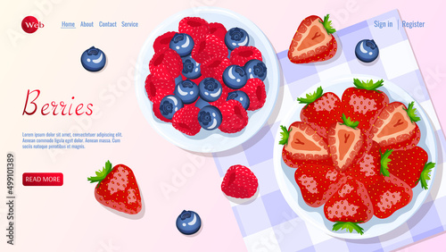 Bowls with berries. Raspberry, strawberry and blueberry. Berries, healthy food, dieting concept. Vector illustration for flyer, poster, banner, website development.