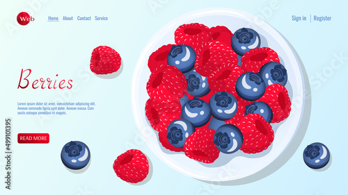 Bowl with berries. Raspberry and blueberry. Berries, healthy food, dieting concept. Vector illustration for flyer, poster, banner, website development.