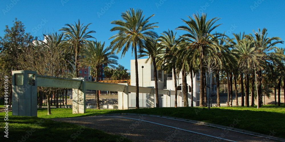 Palm trees in public park in old riverbed of river Turia in Valencia,Spain,Europe
