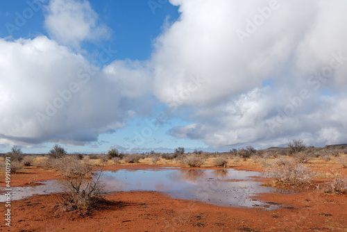 Arid African savannah landscape after a rain shower, South Africa.
