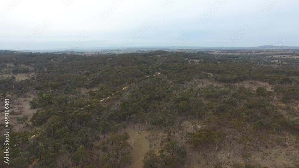 Floating of the Australian Bush Floating of the Australian Bush