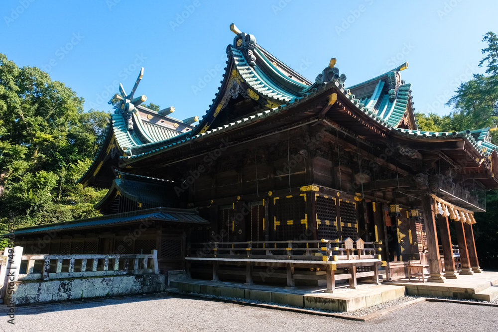静岡県三島市 三嶋大社 拝殿