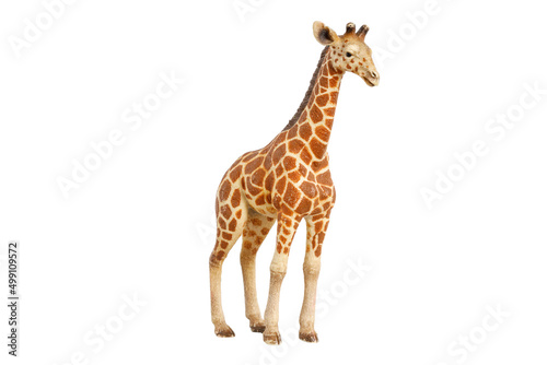 Fototapeta Naklejka Na Ścianę i Meble -  giraffe toy figurine isolated on white background