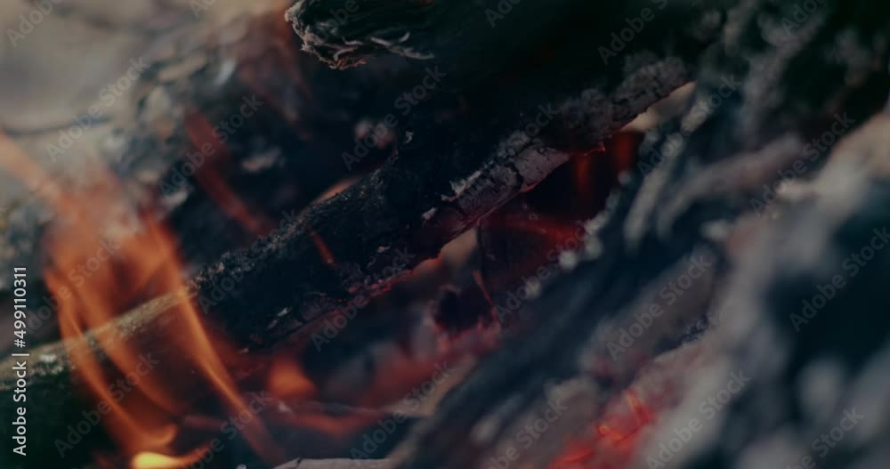 Wood Burning In Forest During War Problems. Wood Burning In Forest During War Problems.