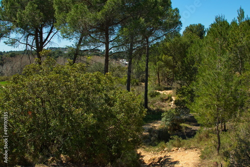 Hiking trail in Parc Natural de Turia at La Vallesa near Valencia,Spain,Europe 