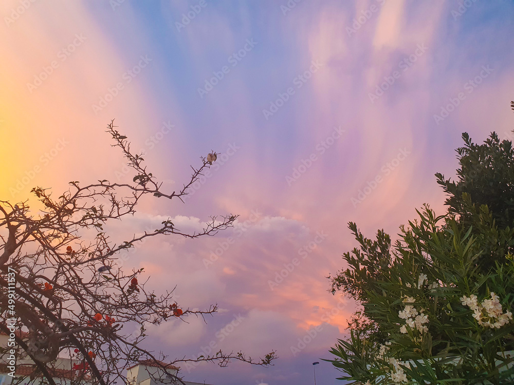 Fototapeta premium Vega Baja del Segura - Torrevieja - Cielos espectaculares y paisajes