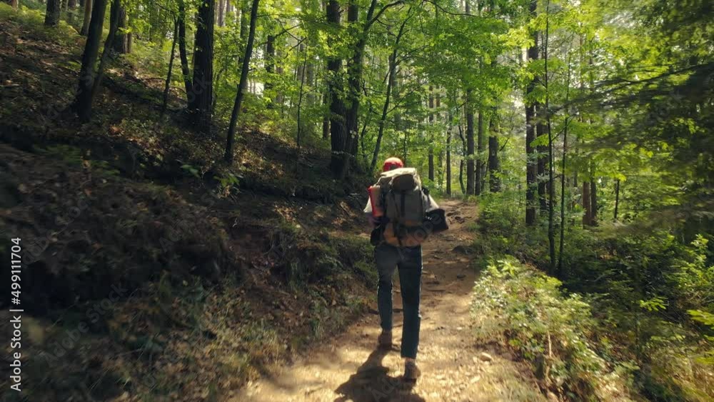 Following a hiker in a beautiful green forest with patches of sunshine on the path