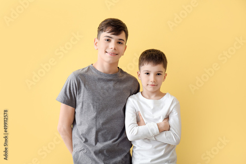 Portrait of cute brothers o...