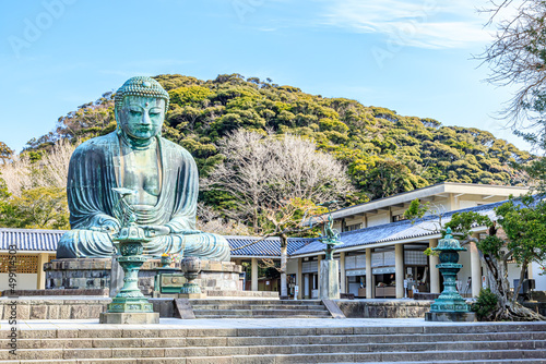 初春の鎌倉大仏　神奈川県鎌倉市　Kamakura Daibutsu in early spring. Kanagawa-ken Kamakura city. photo