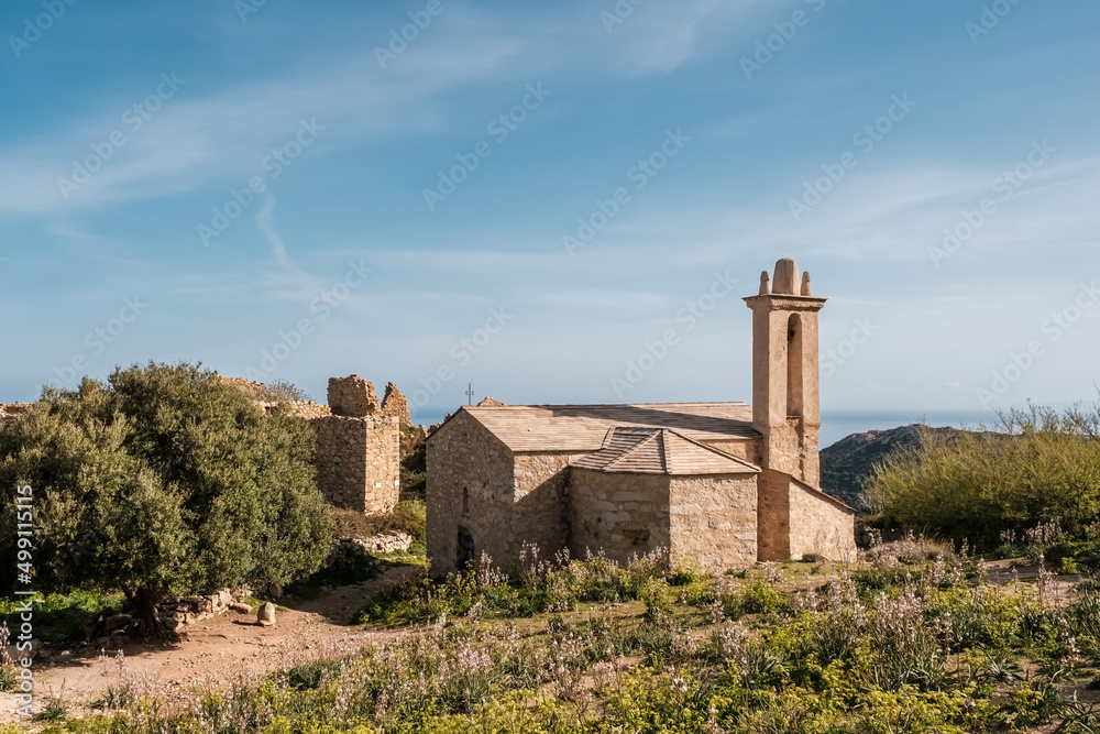 Eglise de l'Annonciation, a renovated church in the abandoned village of Occi near Lumio in the Balagne region of Corsica Eglise de l'Annonciation, a renovated church in the abandoned village of Occi near Lumio in the Balagne region of Corsica