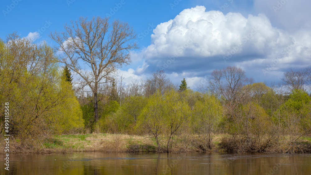 Spring landscape on the banks of the river, Russia Spring landscape on the banks of the river, Russia