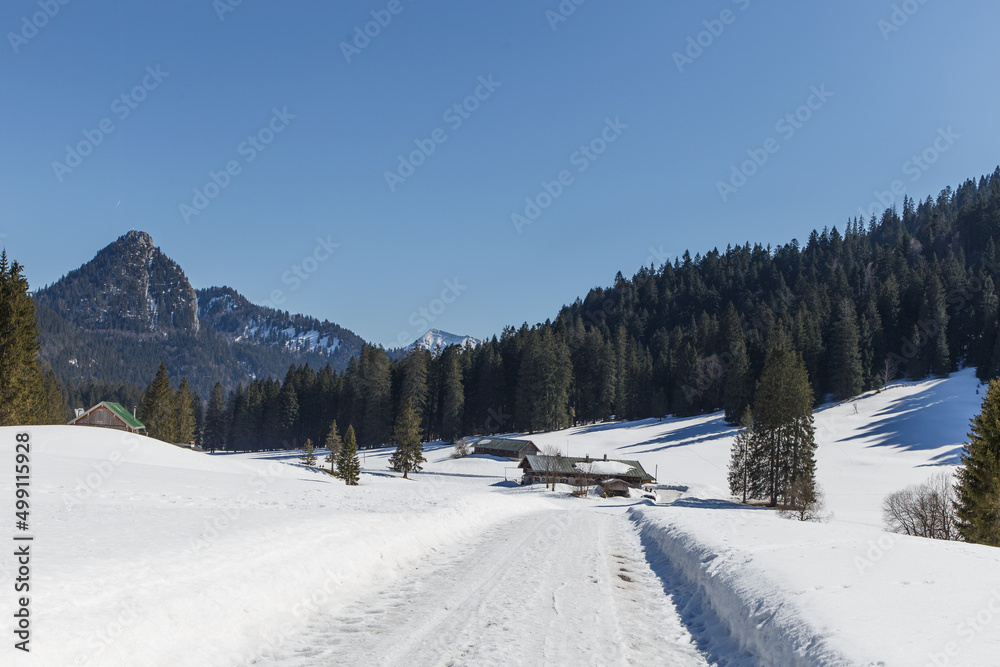Schwarzentennalm, nähe Kreuth, Bayern, Deutschland
Schwarzentennalm, nähe Kreuth, Bayern, Deutschland