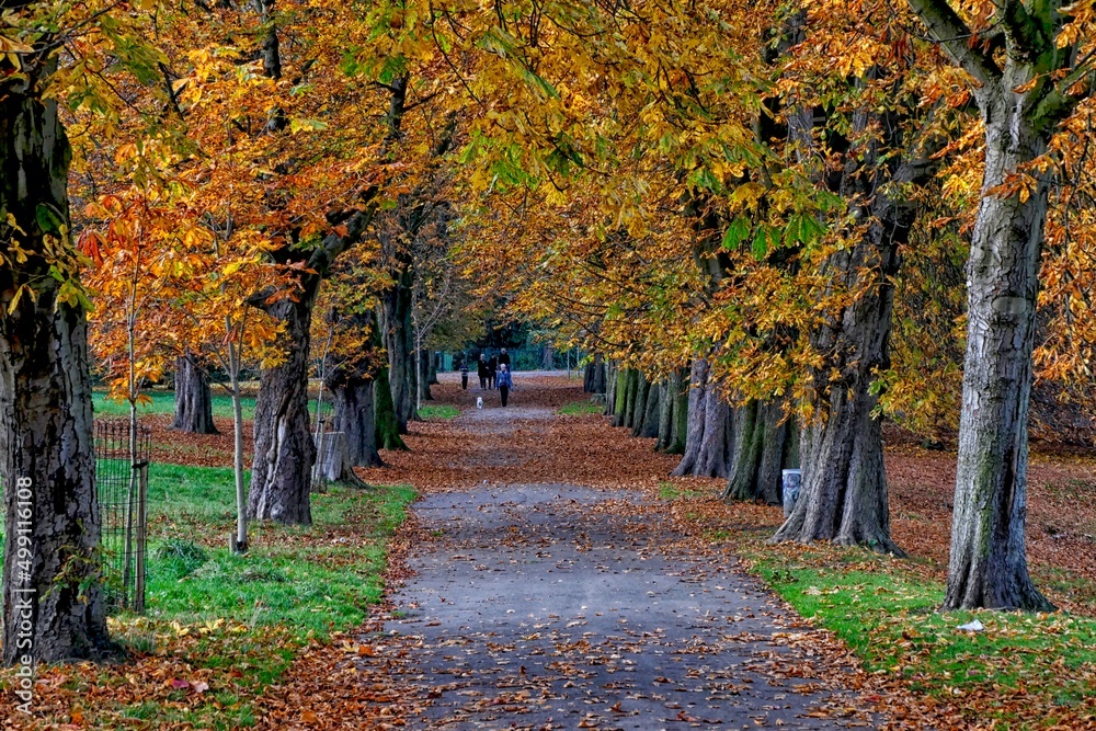 Thornes Park Wakefield in Autumn