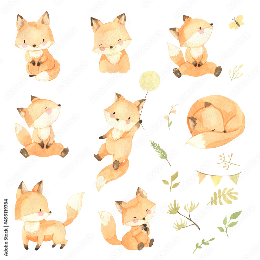 Fototapeta Fox watercolor woodland animal illustration