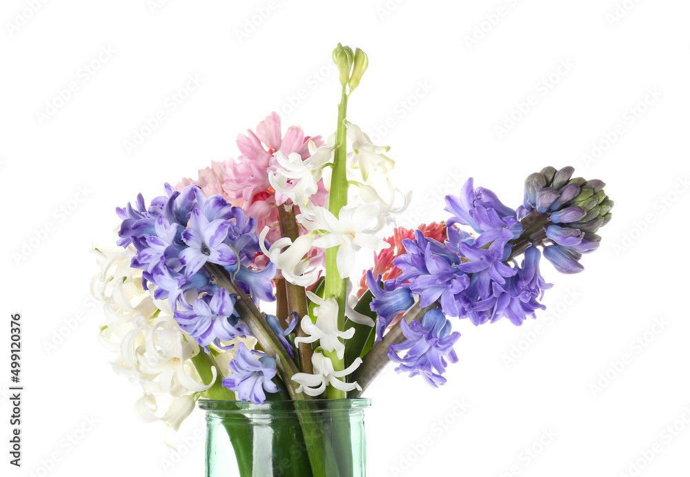 Obraz premium Vase with gorgeous hyacinth flowers on white background