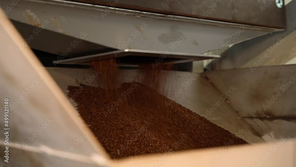Grain sorting and cleaning on the conveyor Grain sorting and cleaning on the conveyor