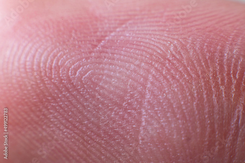 Close-up surface Fingerprint - extreme macro photography. Biometrics and fingerprinting