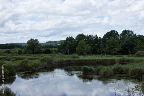 lake in the nature reserve in Düdingen, Fribourg