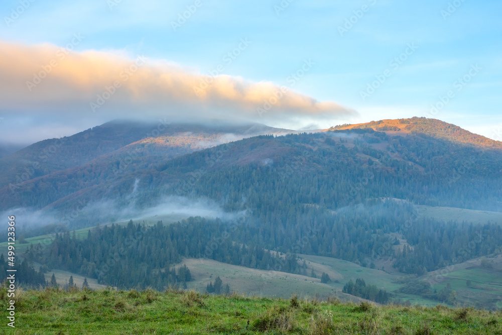 Dawn Fog over the Wooded Ukrainian Carpathians