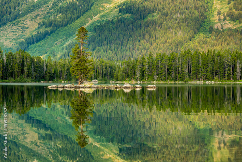 Tree on Rocky Island Reflects in Leigh Lake